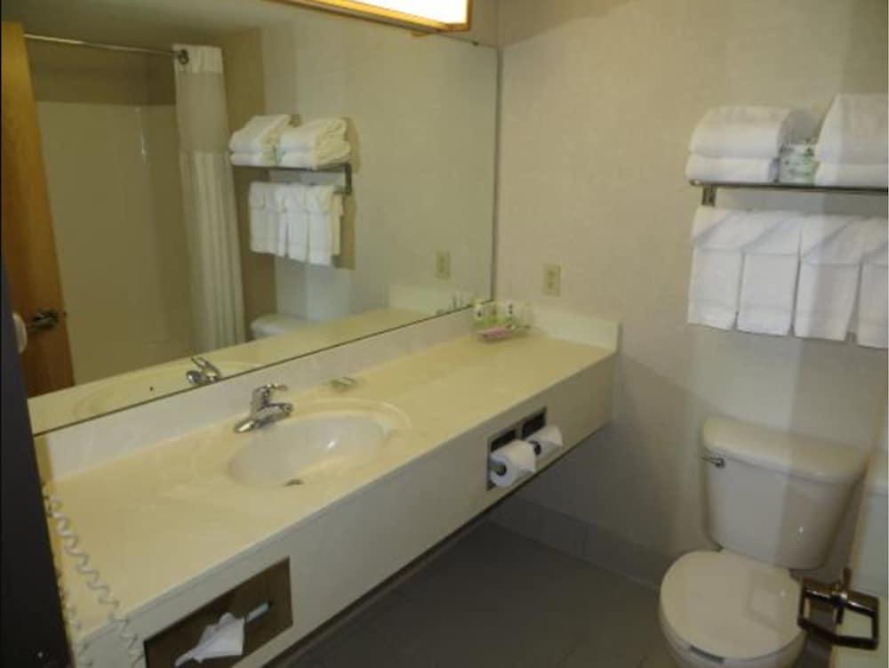 Country Inn & Suites By Radisson, Lansing, Mi Dış mekan fotoğraf